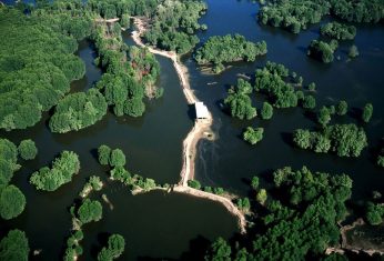 Hệ thống sinh thái rừng ngập mặn tại Cần Giờ