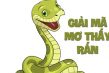 mơ thấy rắn, mơ thấy rắn đánh con gì, mơ thấy rắn cắn, mơ thấy rắn hổ mang, mơ thấy rắn cắn đánh con gì, mơ thấy rắn đen, mơ thấy rắn hổ mang đánh con gì, mơ thấy rắn là điềm gì, mơ thấy rắn trắng, mơ thấy rắn vàng, mơ thấy rắn xanh, mơ thấy rắn vào nhà, mơ thấy rắn cắn người khác, mơ thấy rắn cắn chân đánh con gì, mơ thấy rắn đen đánh con gì, mơ thấy rắn to,