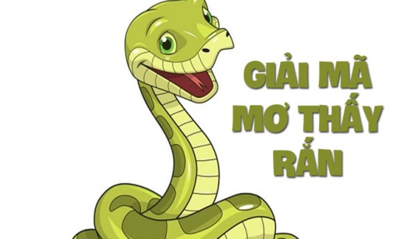 mơ thấy rắn, mơ thấy rắn đánh con gì, mơ thấy rắn cắn, mơ thấy rắn hổ mang, mơ thấy rắn cắn đánh con gì, mơ thấy rắn đen, mơ thấy rắn hổ mang đánh con gì, mơ thấy rắn là điềm gì, mơ thấy rắn trắng, mơ thấy rắn vàng, mơ thấy rắn xanh, mơ thấy rắn vào nhà, mơ thấy rắn cắn người khác, mơ thấy rắn cắn chân đánh con gì, mơ thấy rắn đen đánh con gì, mơ thấy rắn to,