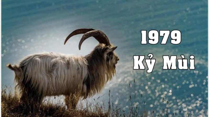 sinh năm 1979, sinh năm 1979 mệnh gì, sinh năm 1979 năm nay bao nhiêu tuổi, sinh năm 1979 hợp màu gì, sinh năm 1979 tuổi gì, sinh năm 1979, sinh năm 1979 hợp hướng nào, nữ sinh năm 1979 mệnh gì, sinh năm 1979 bao nhiêu tuổi, sinh năm 1979 là tuổi gì, 1979, sinh 1979, năm 1979, tướng số, tử vi 1979, vận mệnh 1979, bói năm sinh 1979, xem bói, vận mệnh