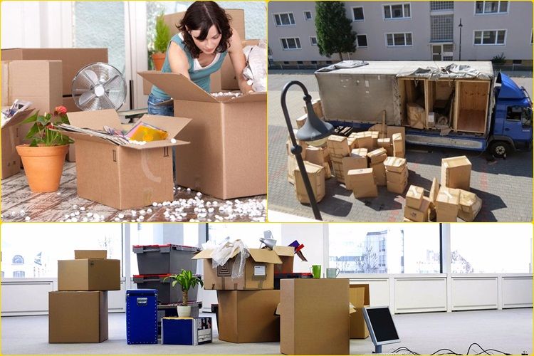 chuyển nhà sinh viên