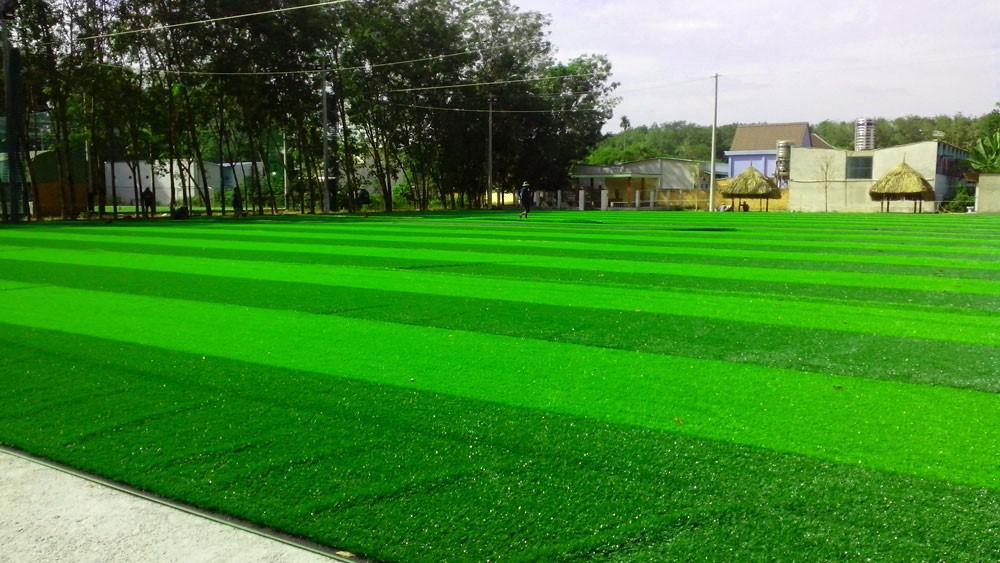 Sân cỏ nhân tạo đá bóng