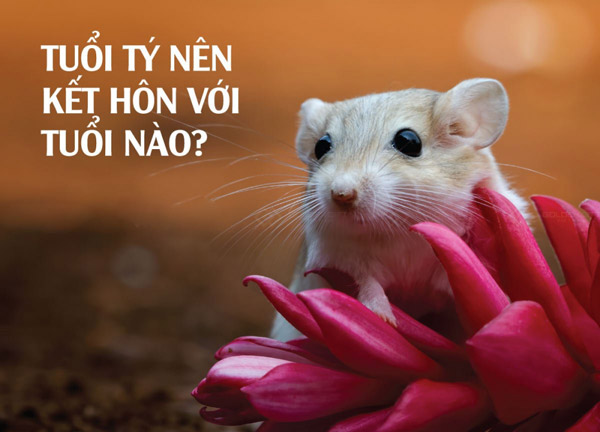Những tuổi nào hợp với tuổi Tý và những tuổi nào không hợp trong kinh doanh và hôn nhân?
